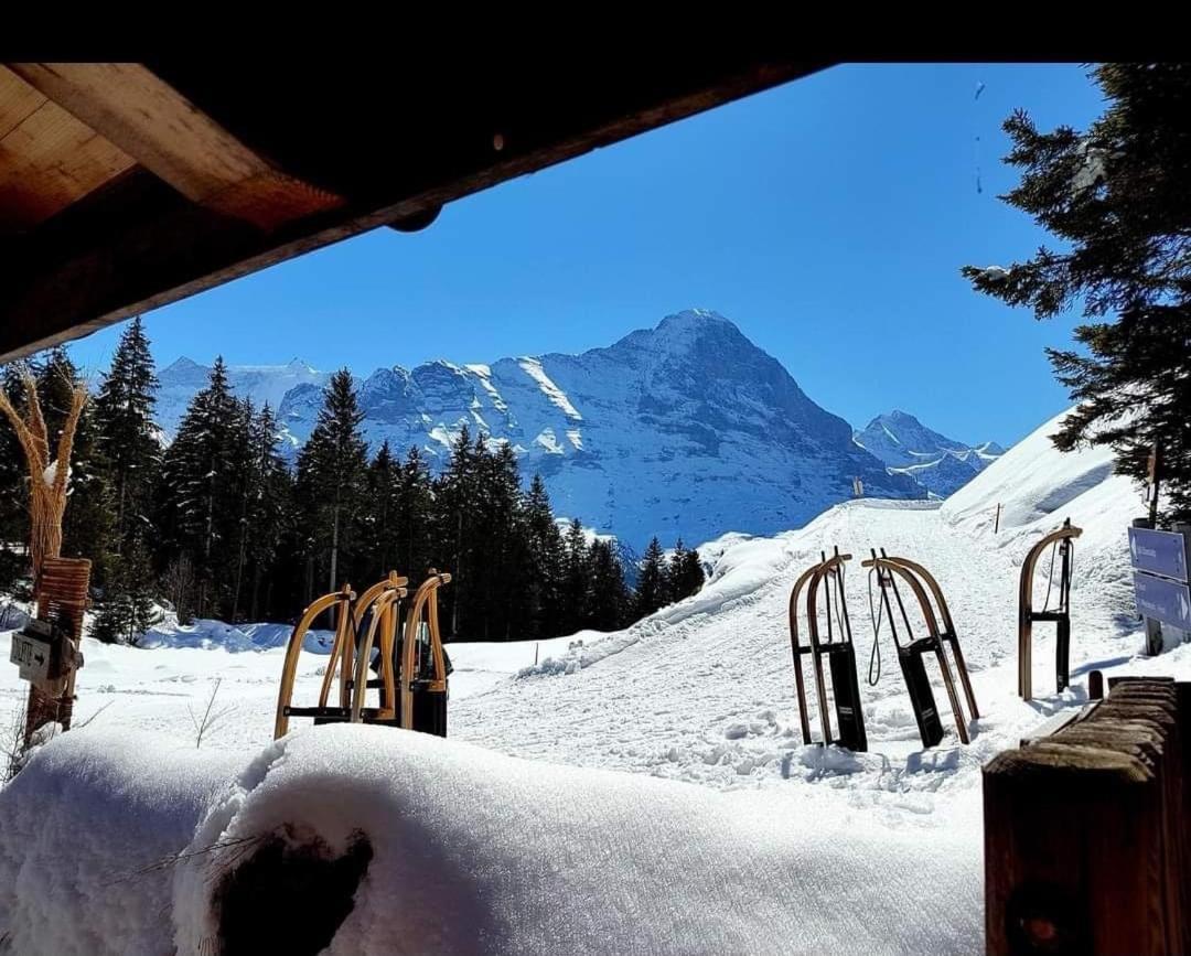 Talhaus * Lauterbrunnen